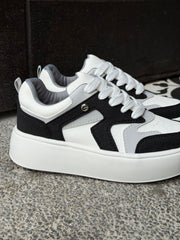 Gray Negro